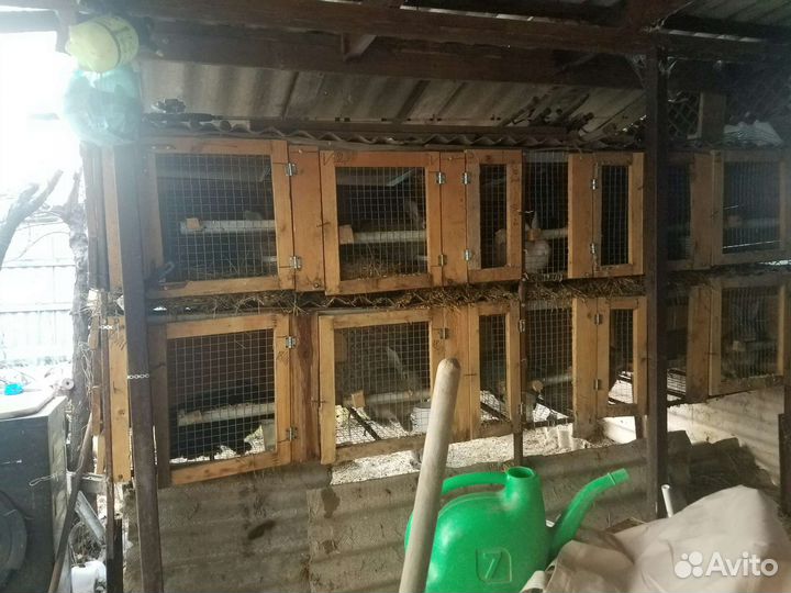 Клетка для кролика