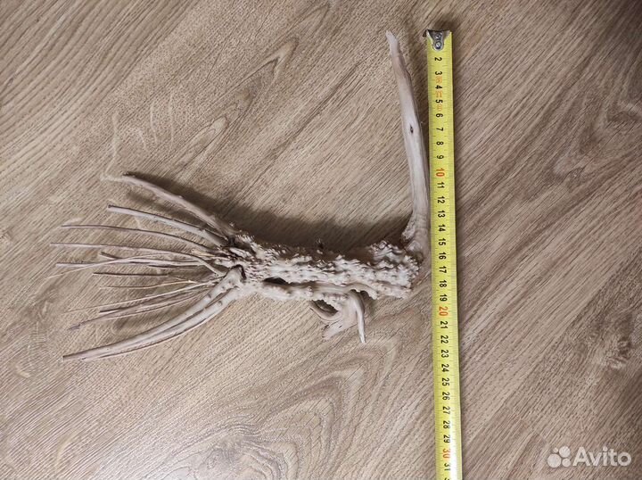 Коряга для аквариума