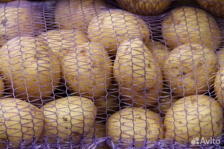 Продам картофель