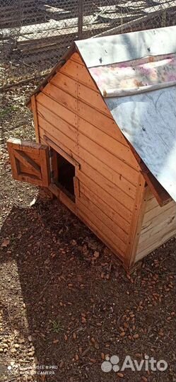 Курятник Б.У