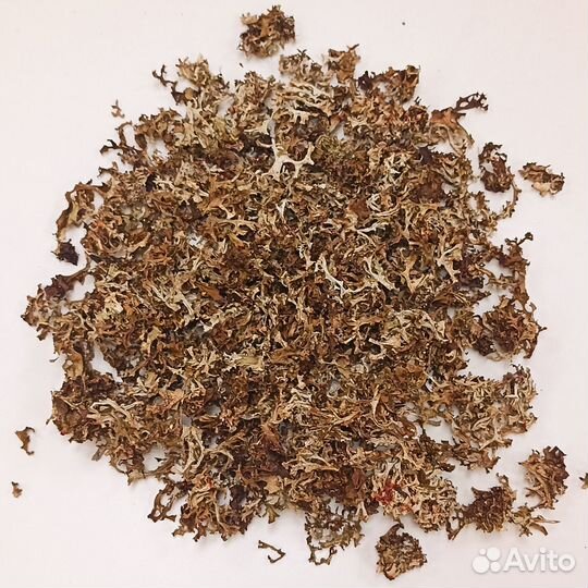 Исландский мох (Цетрария) перебранный от 30 кг