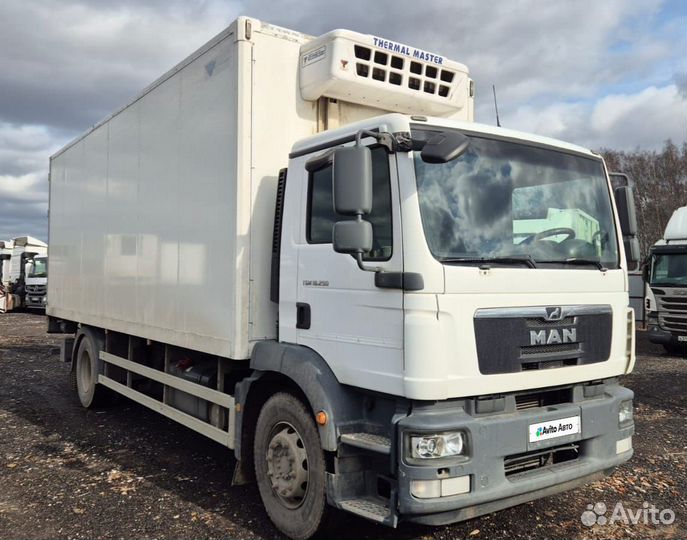 Рефрижератор 44 м³ MAN TGM, 2018