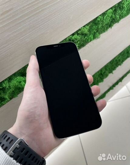 iPhone 12 Pro Max, 256 ГБ