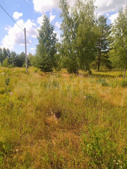 Участок 24 сот. (СНТ, ДНП)