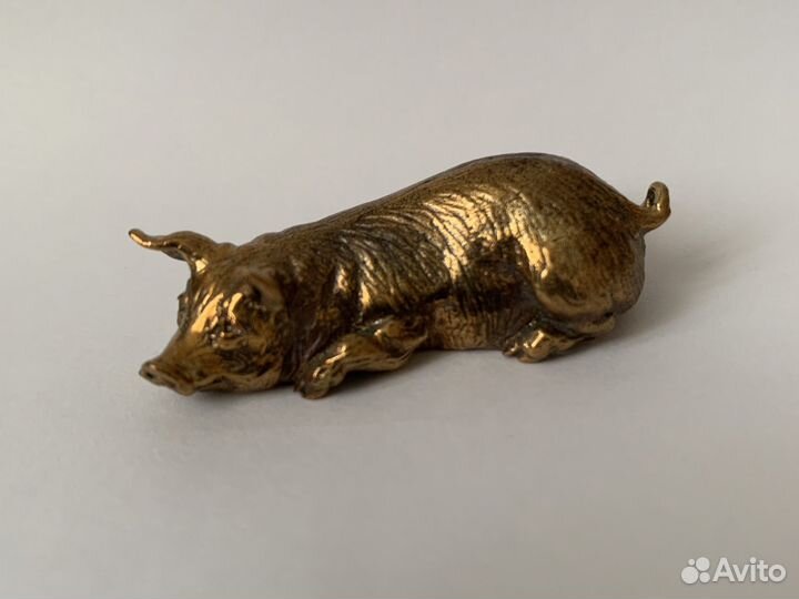 Кабан, свинки, поросенок