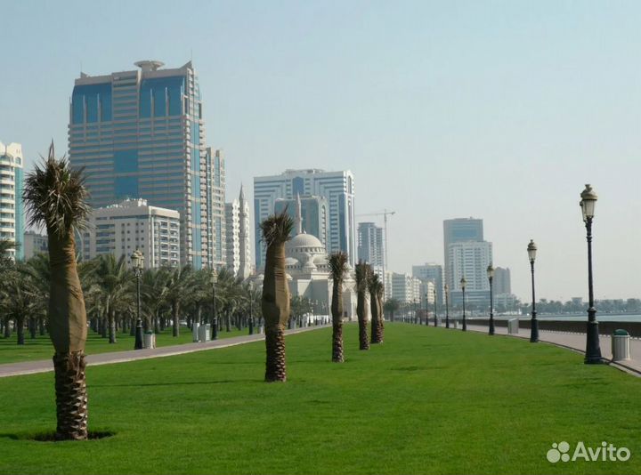 Тур в Sharjah на 7 дн