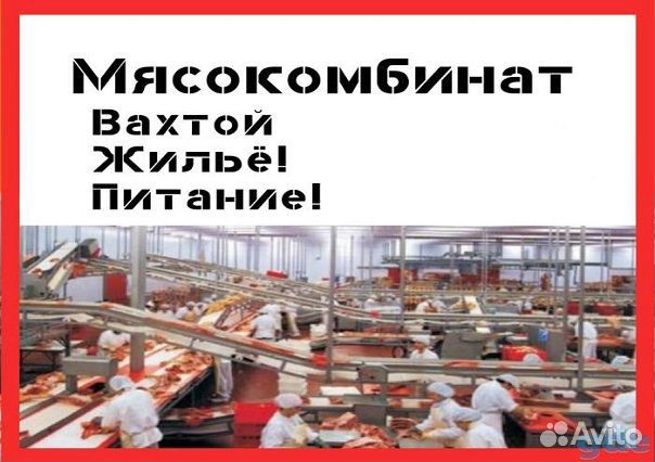 Разнорабочие на мясокомбинат/Брянск без опыта