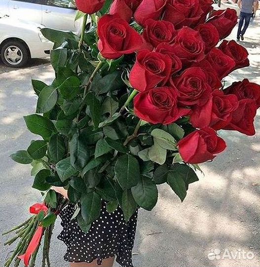 101 Роза Цветы Букеты 51 25 Роз Доставка