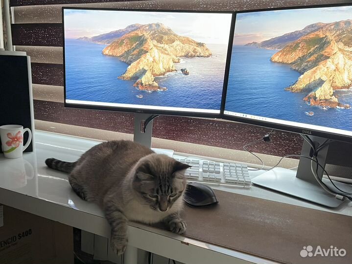 Dell UltraSharp U2515H (25