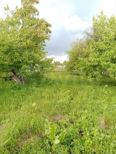 Участок 25 сот. (ИЖС)