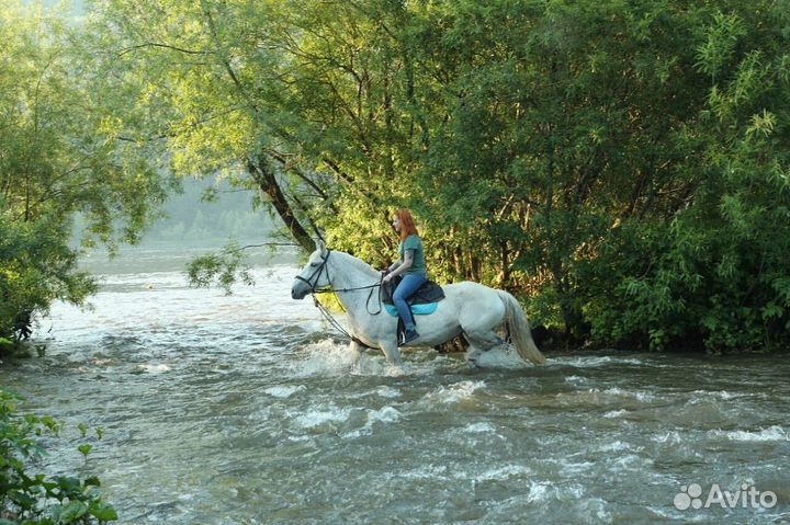 Конные прогулки по берегу Енисея