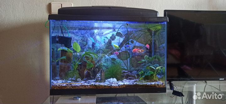 Аквариум
