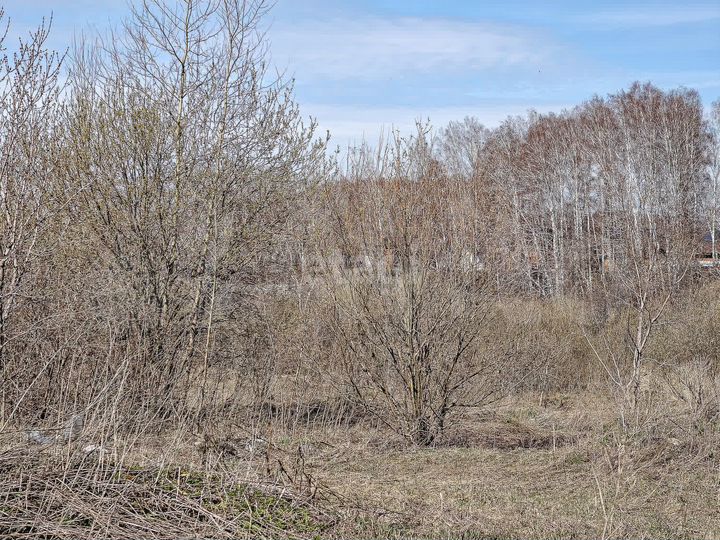 Участок 6 сот. (СНТ, ДНП)