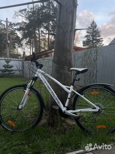 Велосипед Merida Juliet 20-V