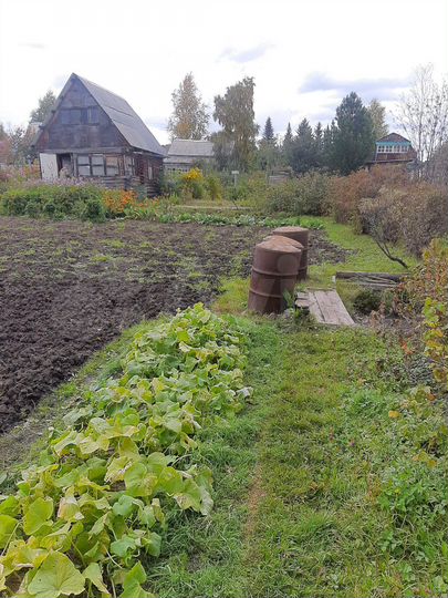 Участок 5,5 сот. (СНТ, ДНП)