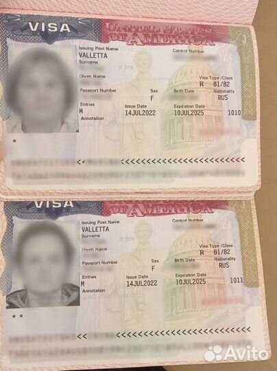 Виза США C1/D и B1/B2