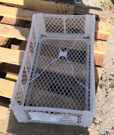 Пластиковые ящики для овощей бу