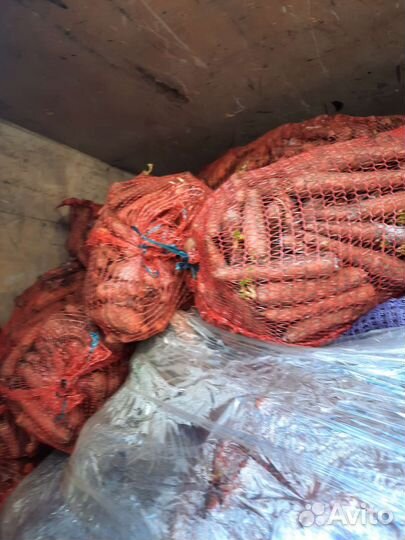 Картофель, морковь, виноград, кабачки для животных