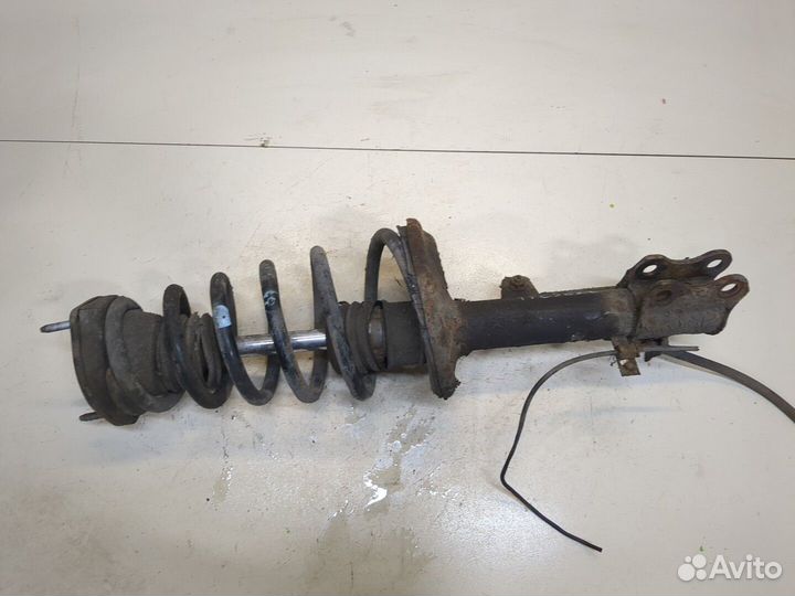 Амортизатор подвески Lexus RX, 2002