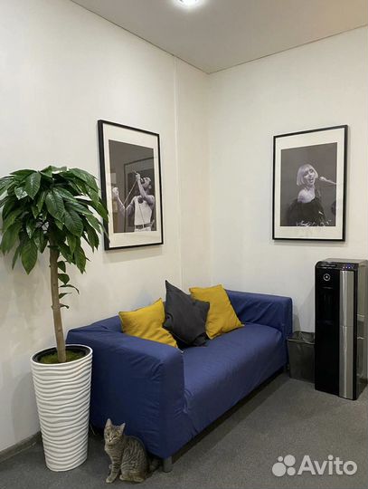 Продаю готовую школу вокала с оборудованием