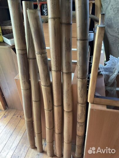Ствол бамбука