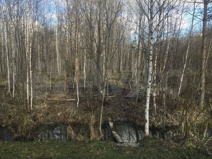 Участок 10 сот. (СНТ, ДНП)