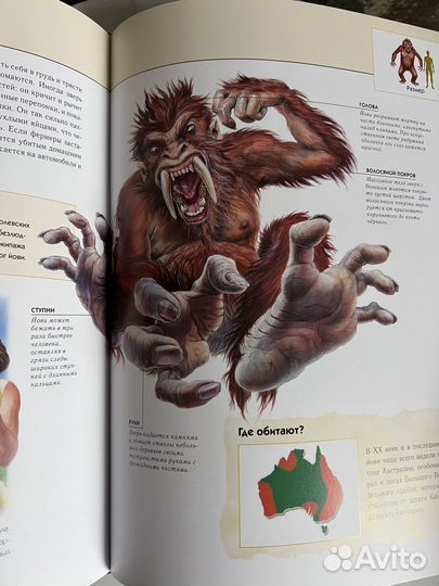 Книга фантастические существа