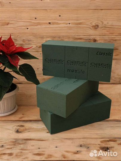 Флористический оазис