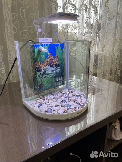 Аквариум