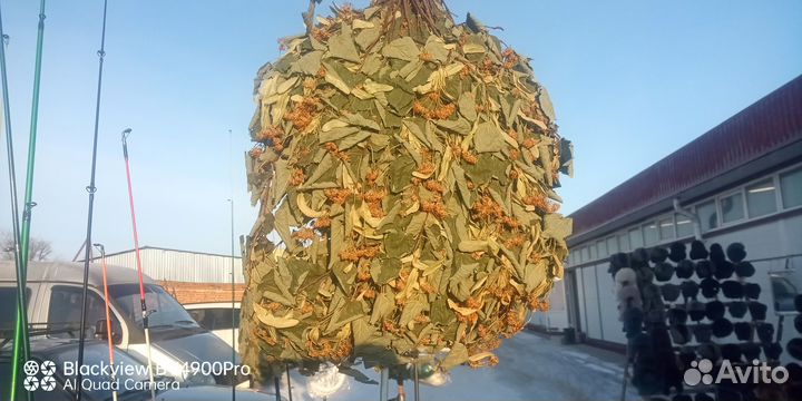 Веники для бани Дуб Липа Береза