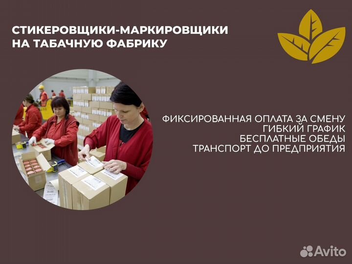 Маркировщики стикеровщики табака подработка