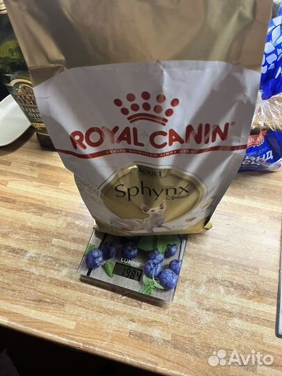 Корм для кошек royal canin