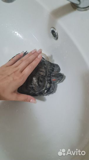 Красноухая черепаха и аквариум большой