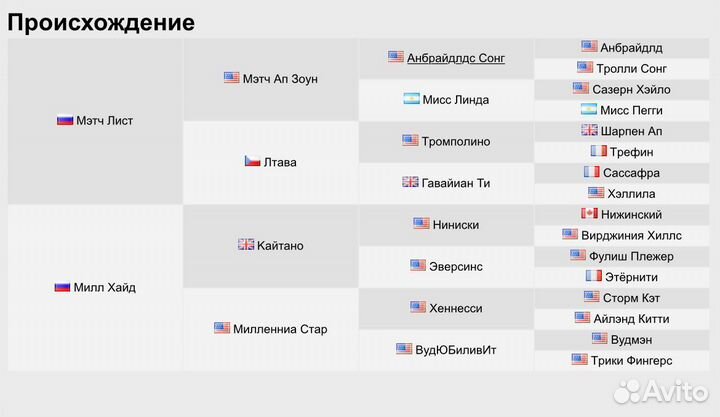 Чк кобыла в матки