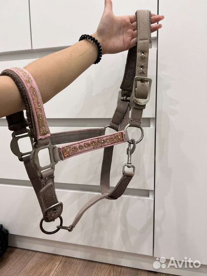 Амуниция для лошади