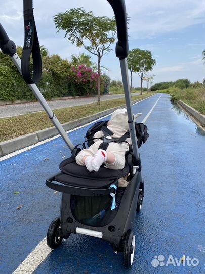 Коляска компакт bugaboo ant