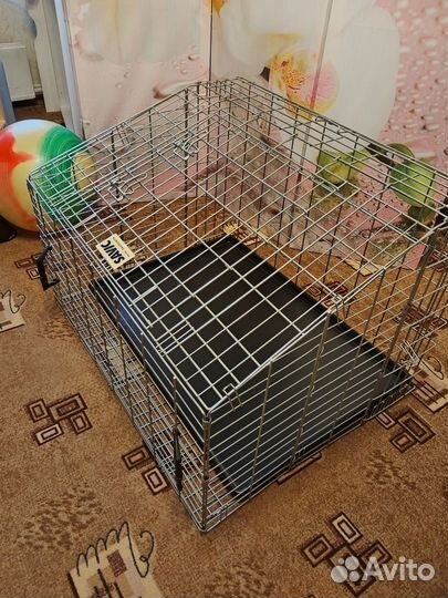 Клетка вольер для большой собаки бу