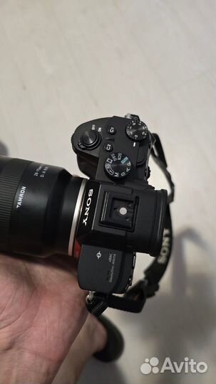 Sony a7 iii Шикарный