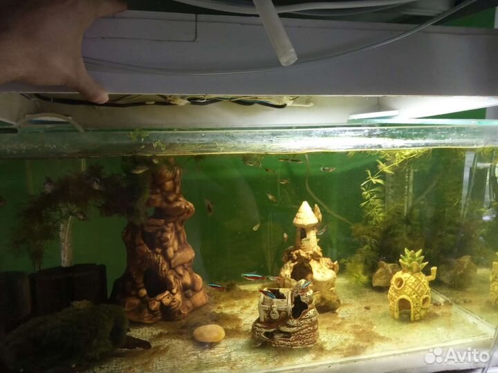 Аквариум 155 литров без крышки и другое