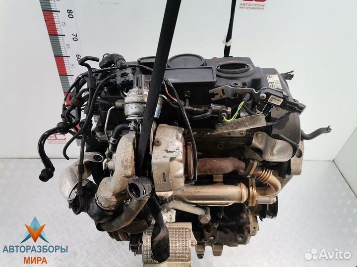 Охладитель EGR / Радиатор EGR Skoda Octavia BMN