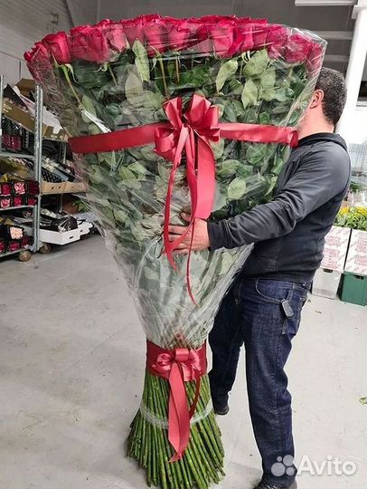 51 Роза, Букеты Цветы Розы 25 101 501 1001