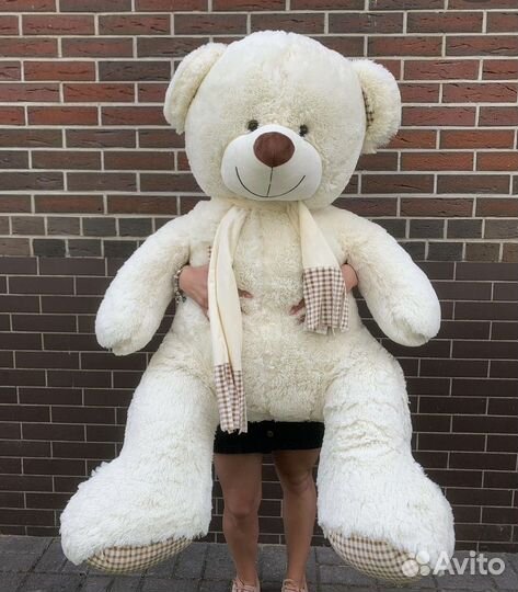 Медведи плюшевые