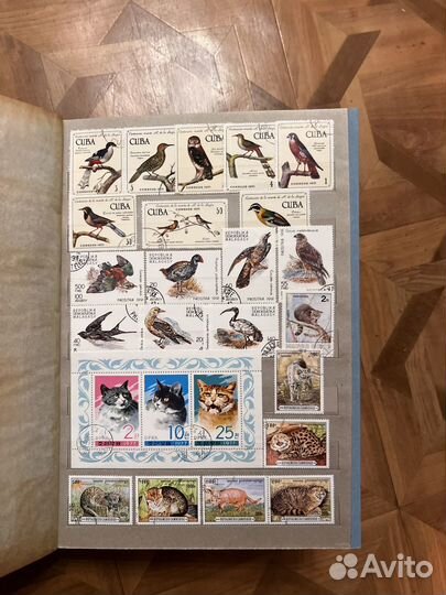 Альбомы с марками животные