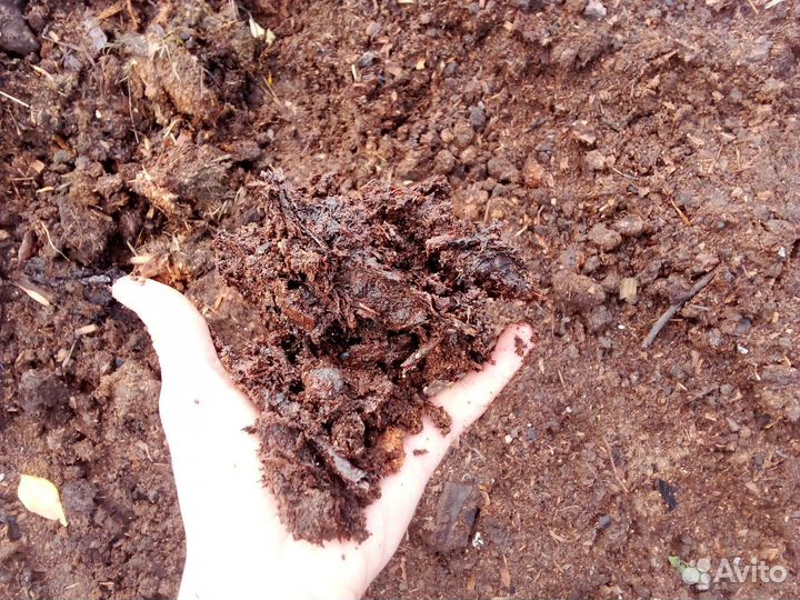 Навоз перегной