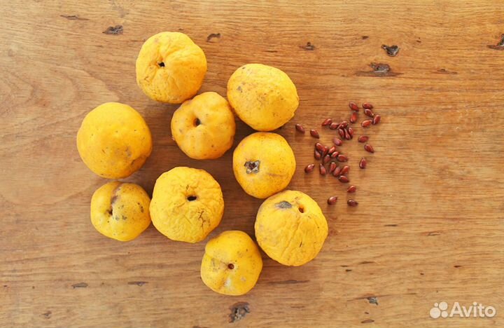 Хеномелес Японский, семена