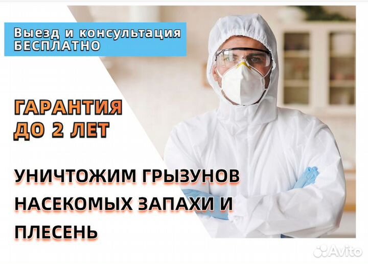 Уничтожение тараканов Дезинфекция Дезинсекция