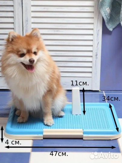 Лоток туалет для собак