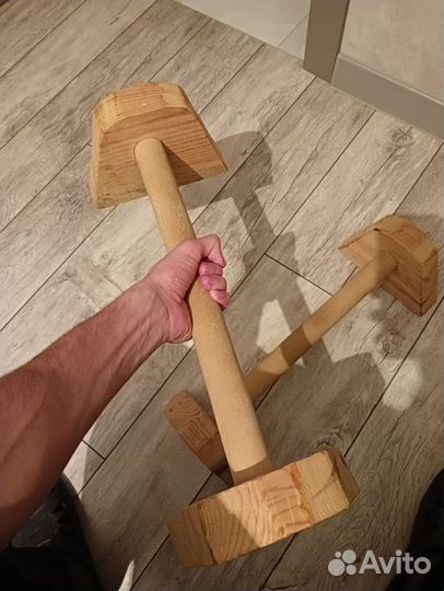 Паралетсы