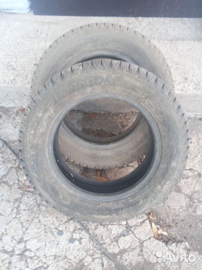 Hankook Winter I'Cept Evo 175/65 R14 82Q