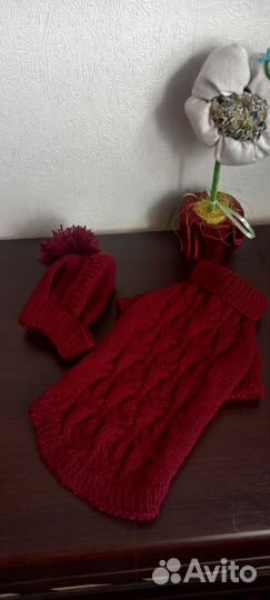 Одежда для собак